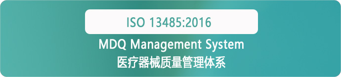 ISO 13485 Medical devices—Quality Management Systems